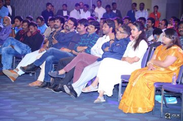 Sarrainodu Movie Success Meet